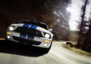 Shelby Cobra GT500 Show Car